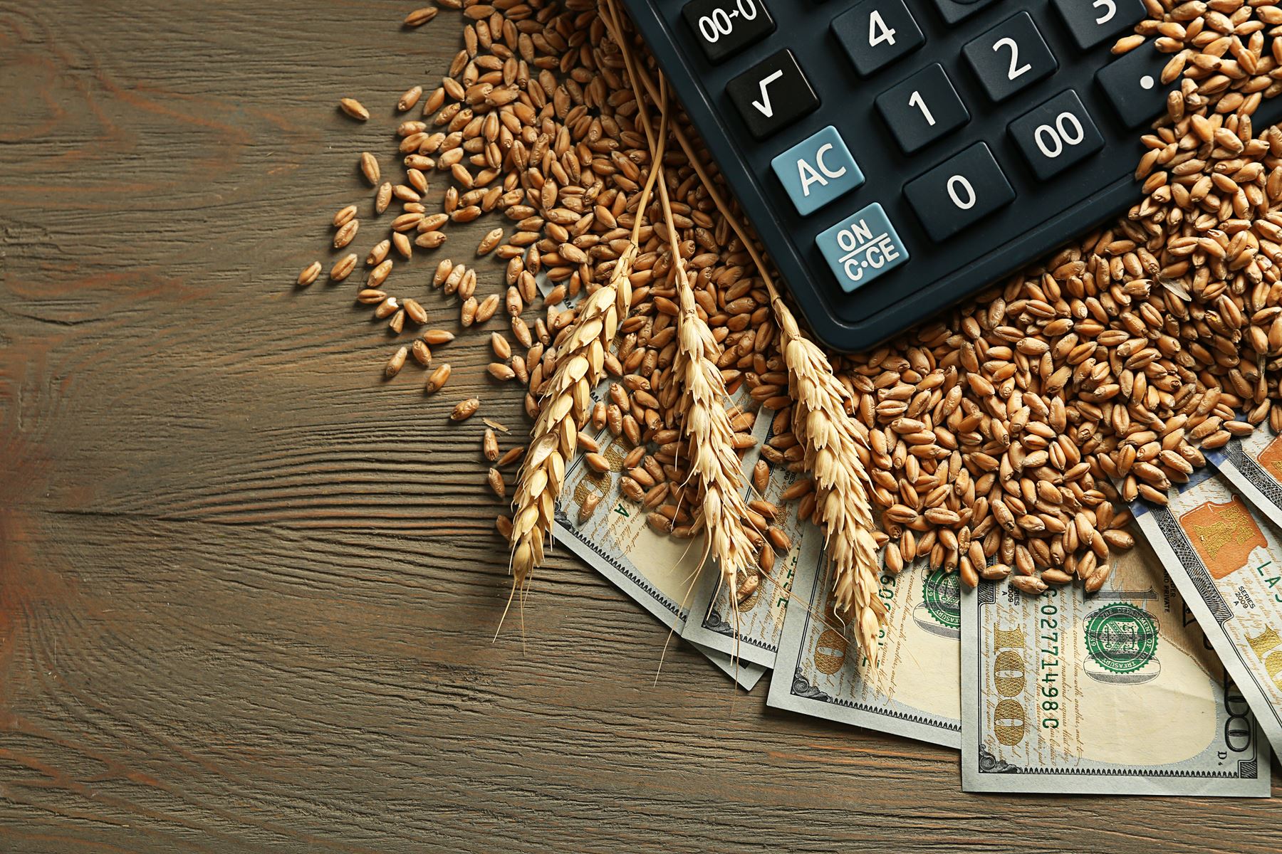 calculator on top of wheat grains and 100 dollar bills